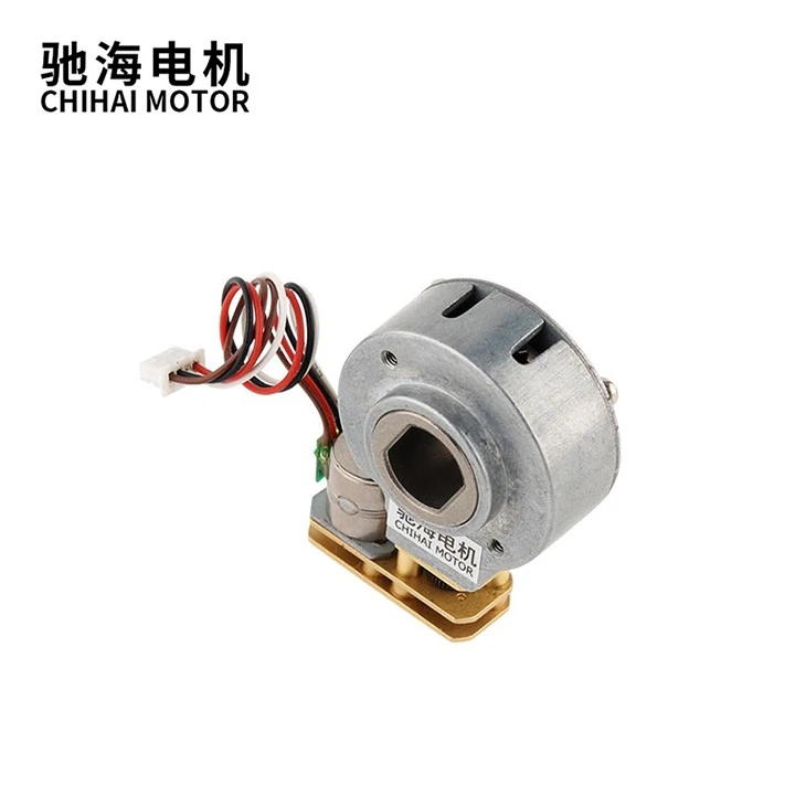 GM29-1024BY Brushless Stepping Gear Motor factory